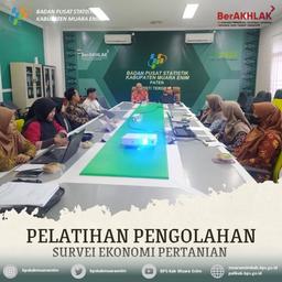 Pelatihan pengolahan Survei Ekonomi Pertanian 2024 (SEP2024) 