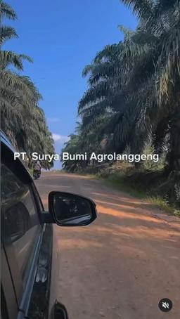 Pendataan UPB SEP 2024 di PT. Surya Bumi Agrolanggeng